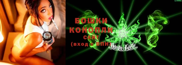 спайс Арсеньев