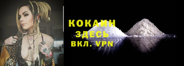 спайс Арсеньев
