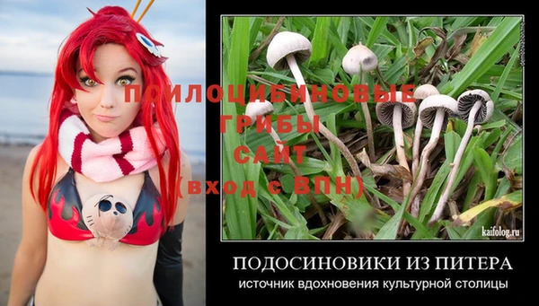 спайс Арсеньев
