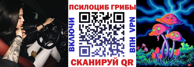 даркнет сайт  Сибай  Галлюциногенные грибы Psilocybe 