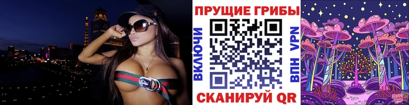 Псилоцибиновые грибы Psilocybine cubensis Сибай